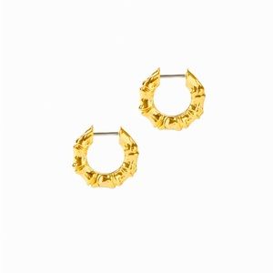 Ana Luisa earrings
